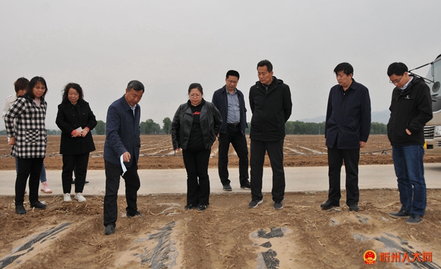 w5五寨 察看万亩谷子基地.jpg