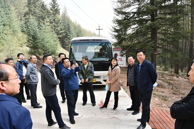 在管涔山国家级森林公园落枝湾原始次森林_副本.jpg