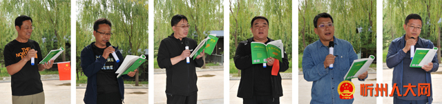 vv12.jpg