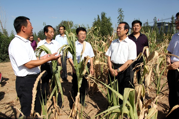 李树东一行在农田了解农机使用及农作物收成情况.JPG