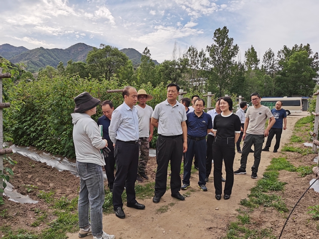 检查组一行在石咀镇南坪村树莓种植基地检查.jpg