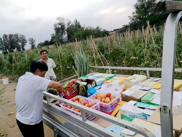 张继平组织无公害蔬菜销售活动.jpg