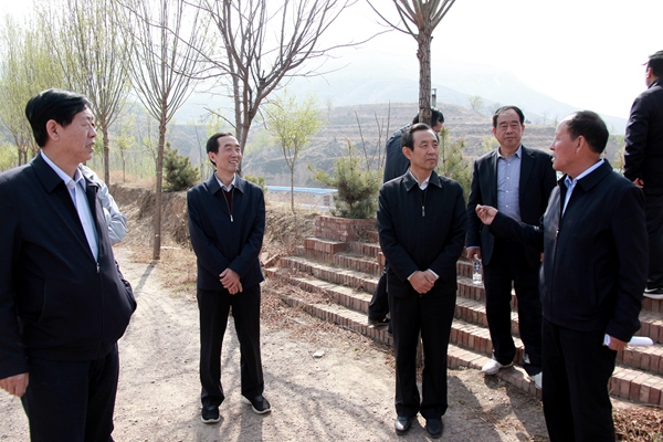 观看农村合作社养羊基地.JPG
